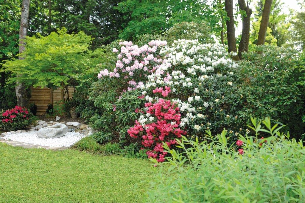 Garten im Frühling – Hotel Alpenhof Gauting im Würmtal